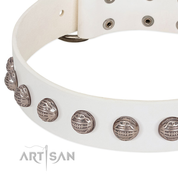 Remarkable full grain leather dog collar with corrosion proof embellishments