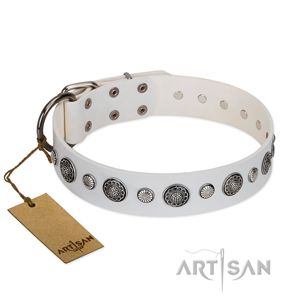 Durable natural leather dog collar with corrosion resistant hardware