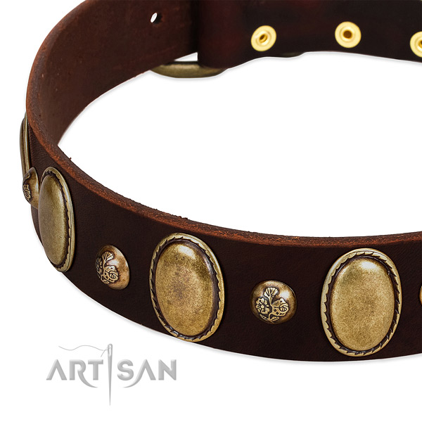 Full grain genuine leather dog collar with exceptional decorations
