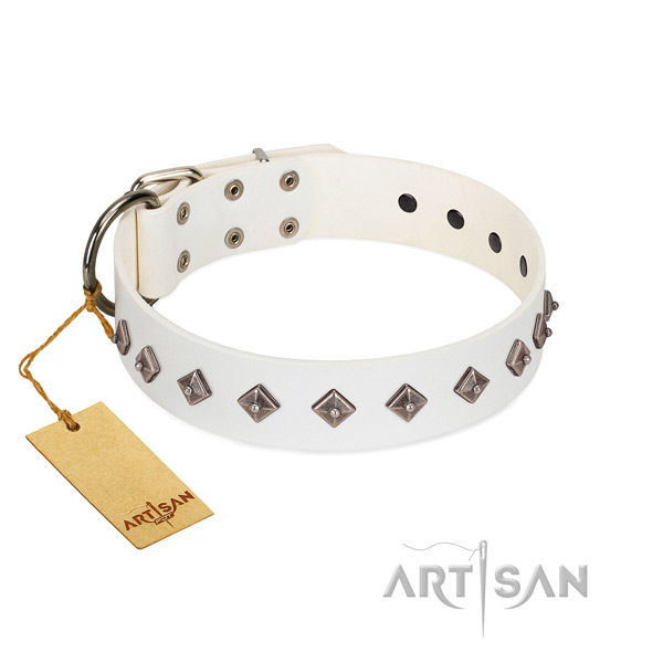 Trendy studs on genuine leather collar for comfy wearing your pet