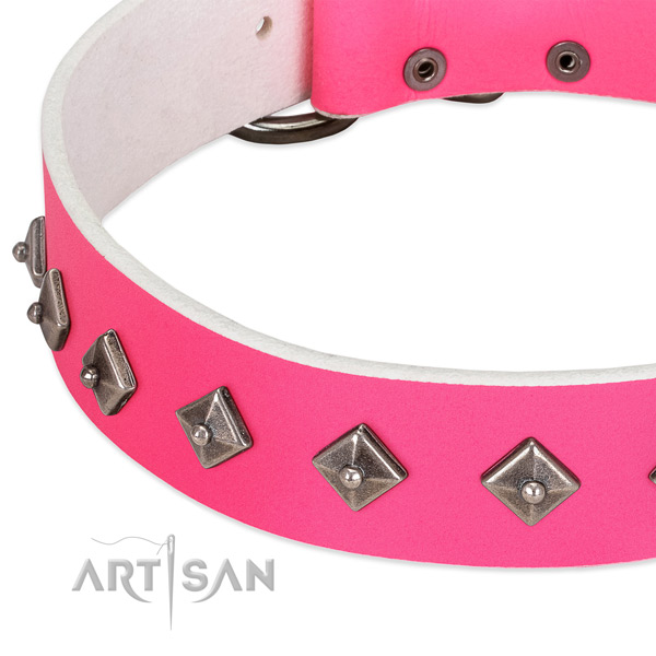 Amazing collar of full grain genuine leather for your handsome doggie