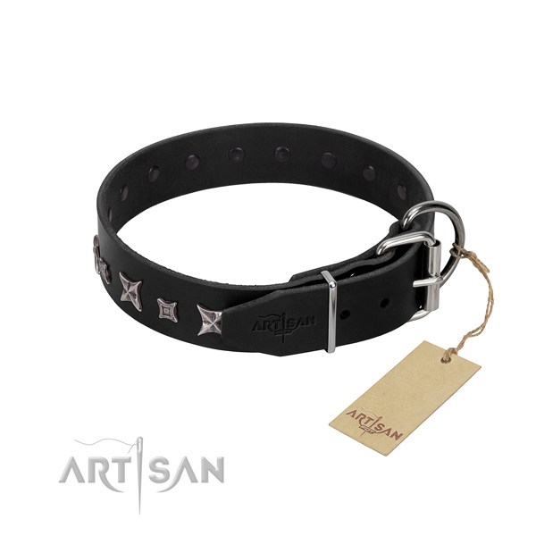 personalized dog collars