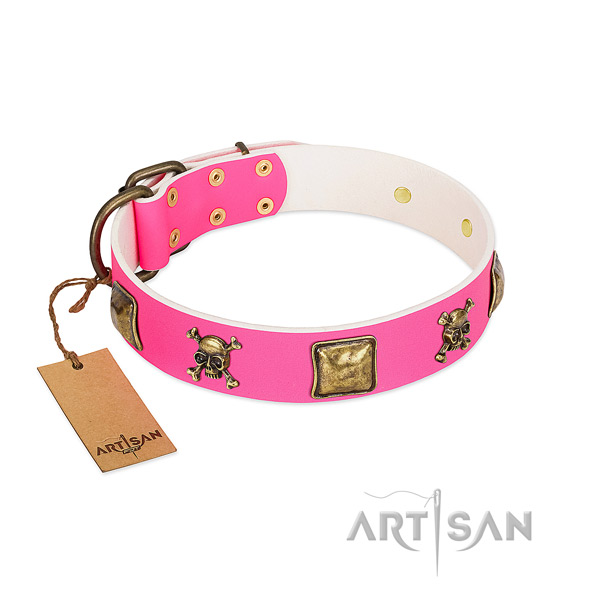 Full grain natural leather dog collar with corrosion resistant fittings for daily walking