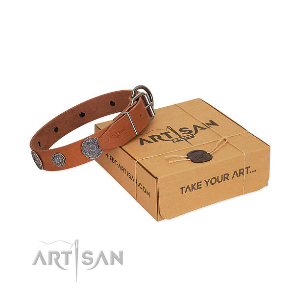 Trendy dog collar of full grain natural leather
