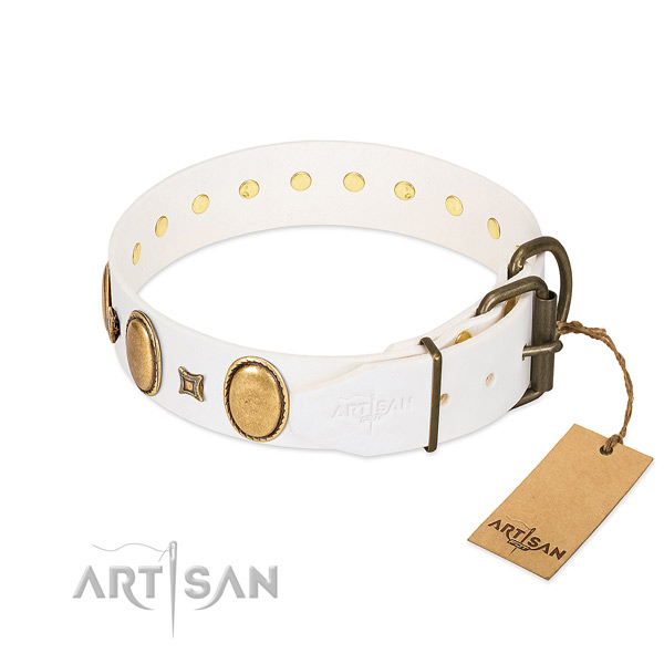 Corrosion proof D-ring on daily use dog collar