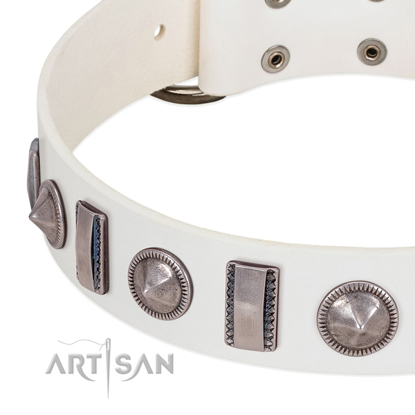 Remarkable decorated leather dog collar for everyday use