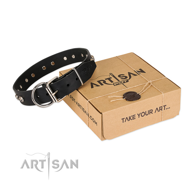 Reliable buckle on dog collar for everyday use