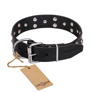 "Mystic Skulls" Decorated Leather English Pointer Collar with Skulls and Studs