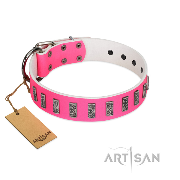 Comfy wearing top notch genuine leather dog collar