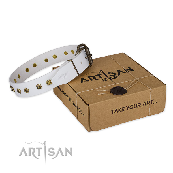 Corrosion resistant D-ring on genuine leather dog collar for everyday use