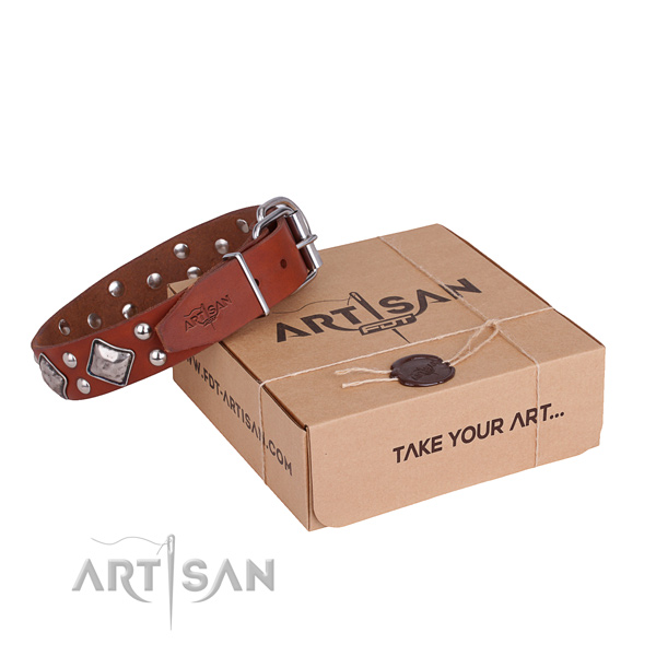 Comfortable wearing dog collar with Stylish design rust resistant decorations