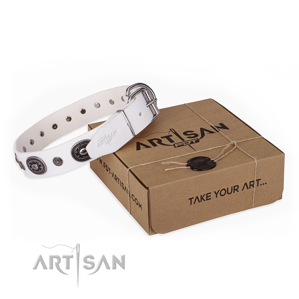 Reliable leather dog collar created for stylish walking