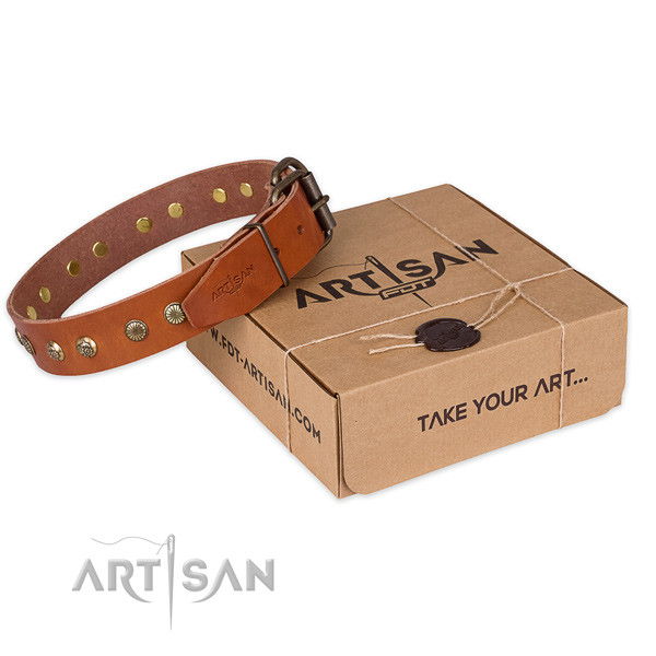 Corrosion proof traditional buckle on leather collar for your lovely pet