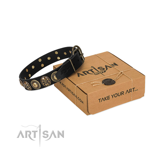 Rust-proof fittings on dog collar for walking