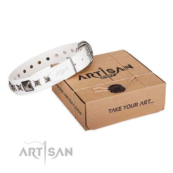Stylish walking full grain natural leather dog collar with studs