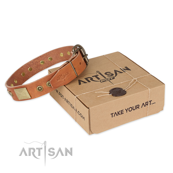 Strong traditional buckle on genuine leather dog collar for basic training