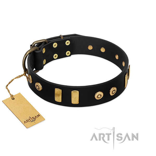 Top rate natural leather dog collar with awesome embellishments