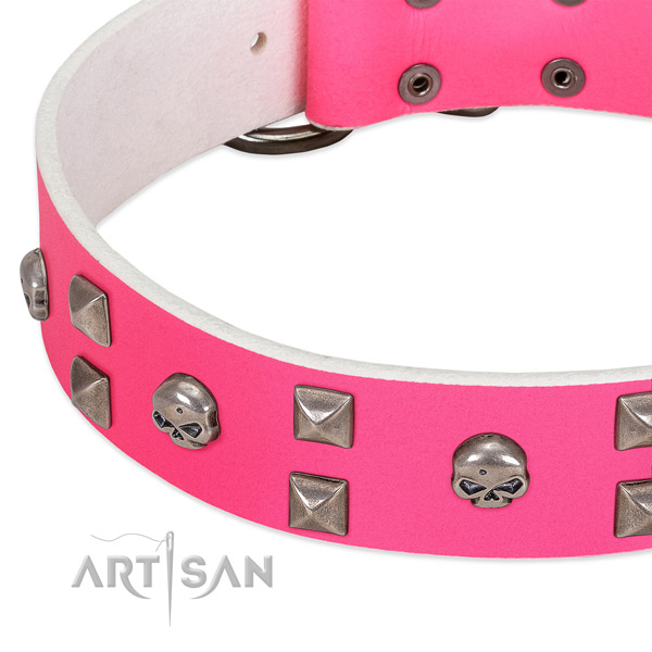 Full grain natural leather collar with extraordinary embellishments for your four-legged friend