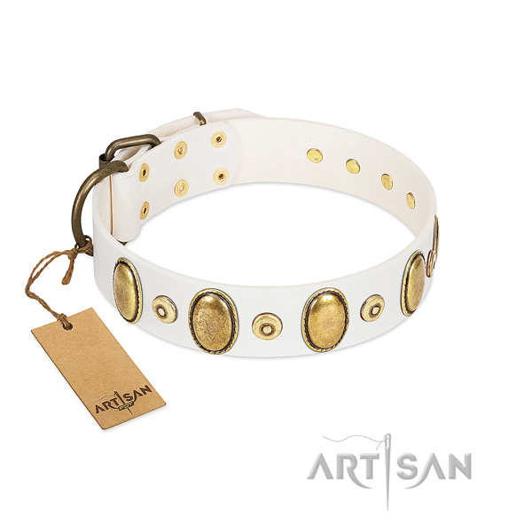 Quality natural leather collar with corrosion resistant decorations for your pet