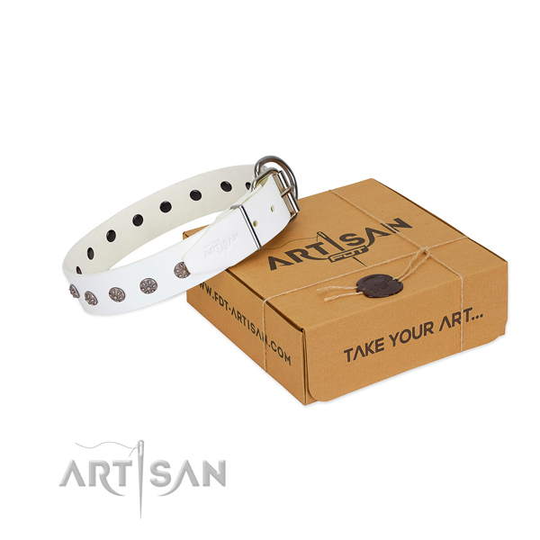 Gentle to touch full grain genuine leather dog collar with decorations for your beautiful doggie