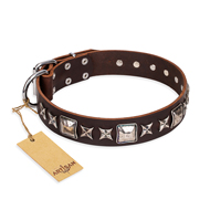 "Perfect Impression" FDT Artisan Brown Leather English Pointer Collar with Silvery Square Studs