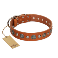 "Natural Beauty" FDT Artisan Tan Leather English Pointer Collar with Shining Silver-like Studs