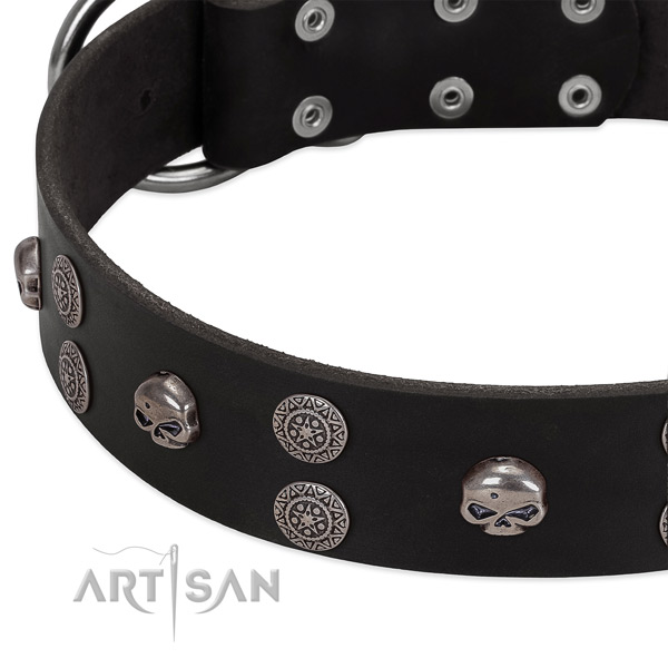 Best quality full grain natural leather dog collar with exquisite embellishments