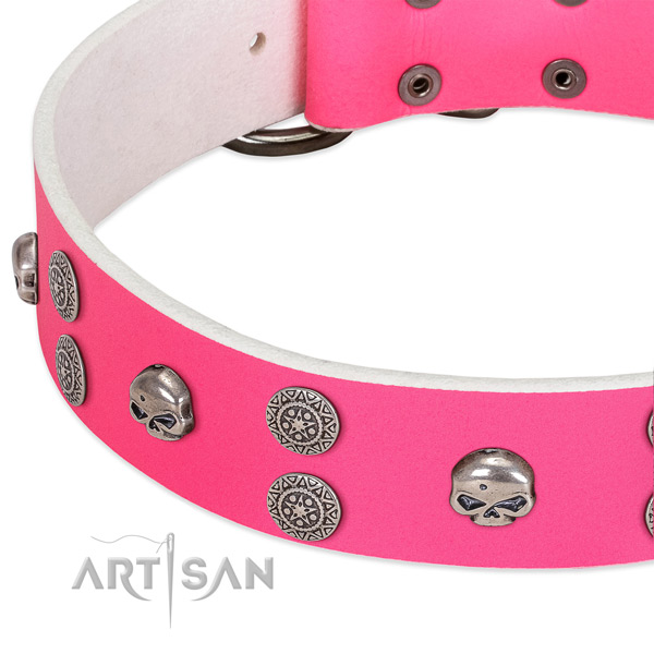 Gentle to touch genuine leather dog collar with fashionable embellishments