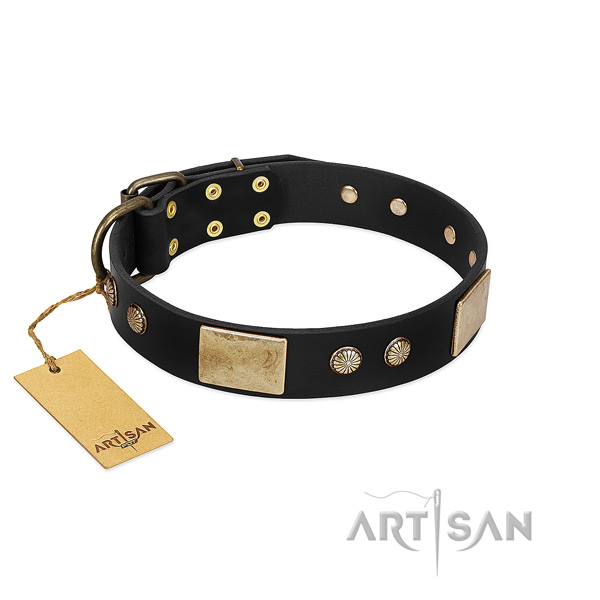 Adjustable full grain natural leather dog collar for walking your pet
