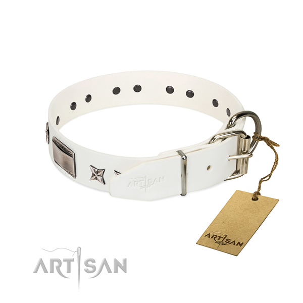 Significant collar of genuine leather for your handsome doggie