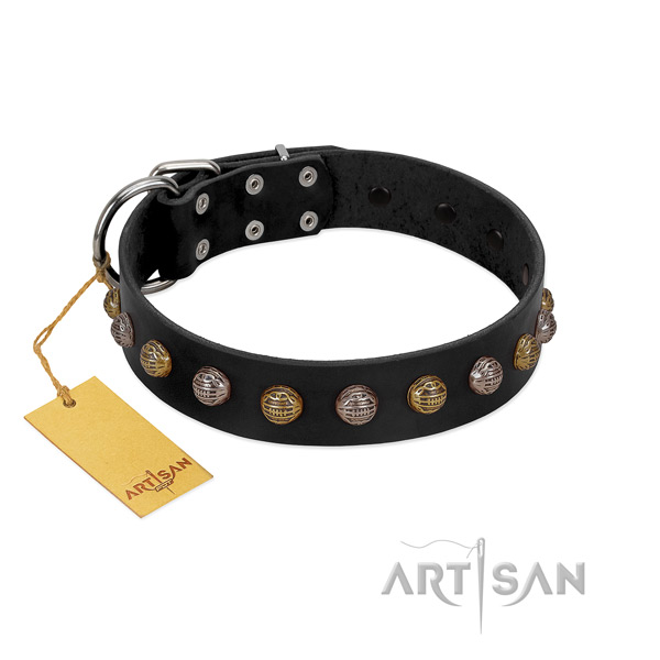 Strong fittings on full grain genuine leather dog collar for everyday walking your canine