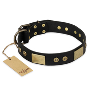 "Spanish night" FDT Artisan Fashionable Leather Walking English Pointer Collar