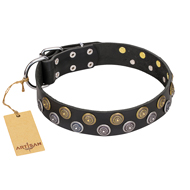 "Romantic Breeze" FDT Artisan Black Leather English Pointer Collar with Sparkling Circles