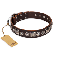 "Pierian spring" FDT Artisan Brown Leather English Pointer Collar with Silvery Decorations