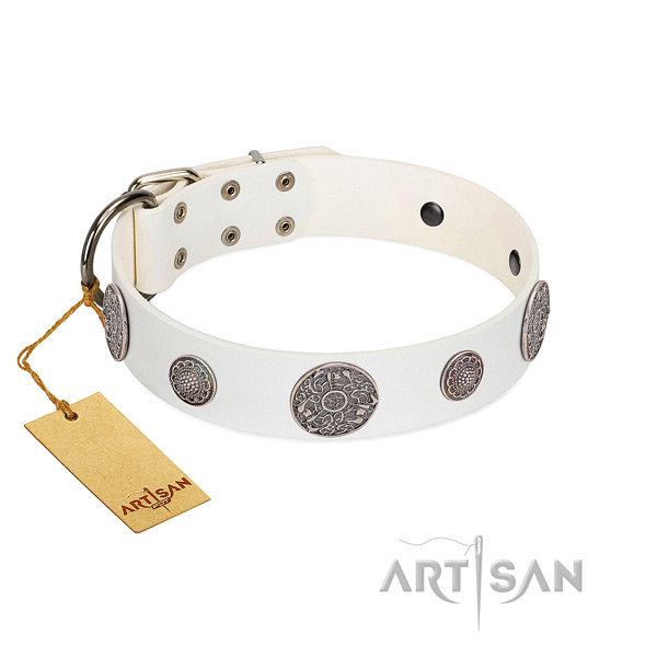 Remarkable genuine leather collar for your attractive dog