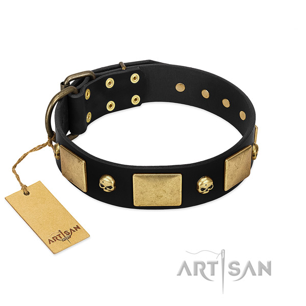 Corrosion resistant traditional buckle on dog collar for handy use