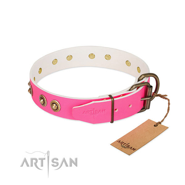 Leather dog collar with durable D-ring and decorations