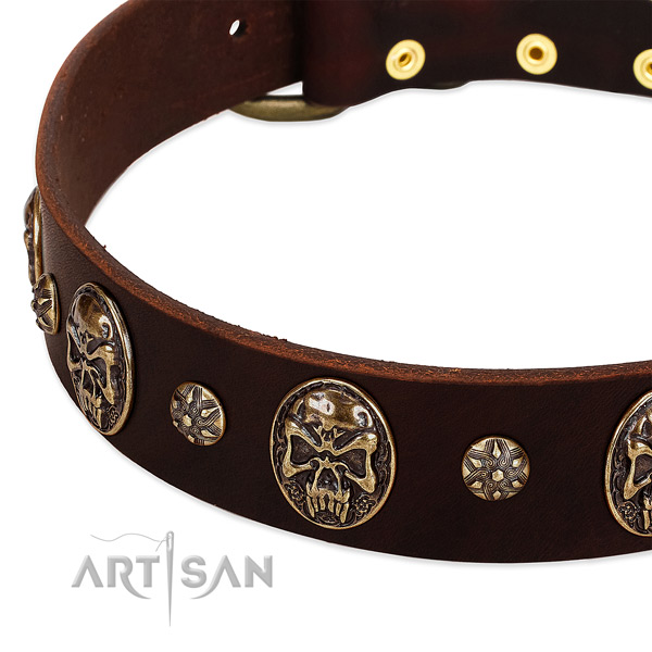 Strong D-ring on genuine leather dog collar for your pet