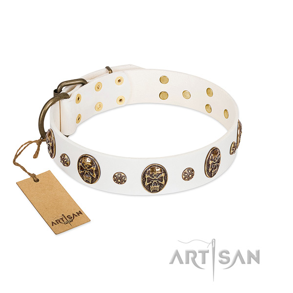 Embellished full grain natural leather collar for your pet