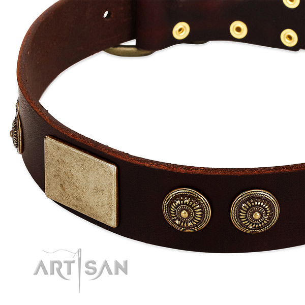 Corrosion resistant traditional buckle on leather dog collar for your canine