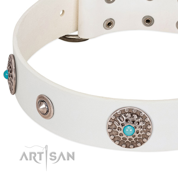 Fashionable collar of full grain genuine leather for your impressive four-legged friend