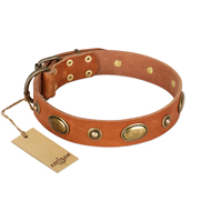 "Visual Magic" FDT Artisan Tan Leather English Pointer Collar for Daily Activities
