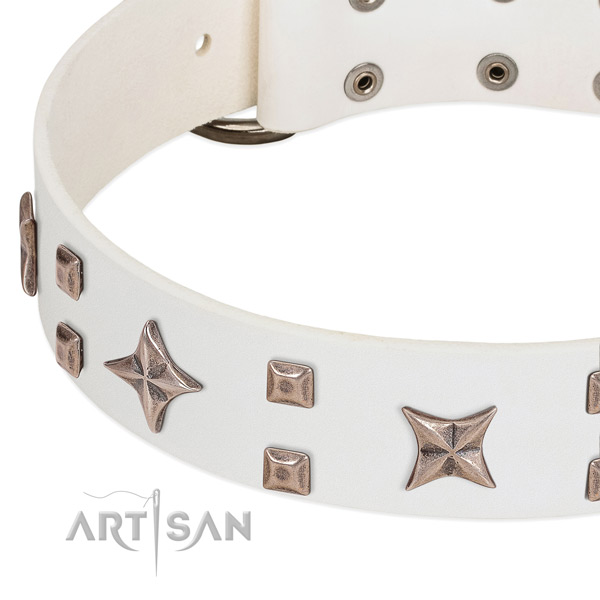 Rust-proof buckle on full grain natural leather collar for daily walking your dog