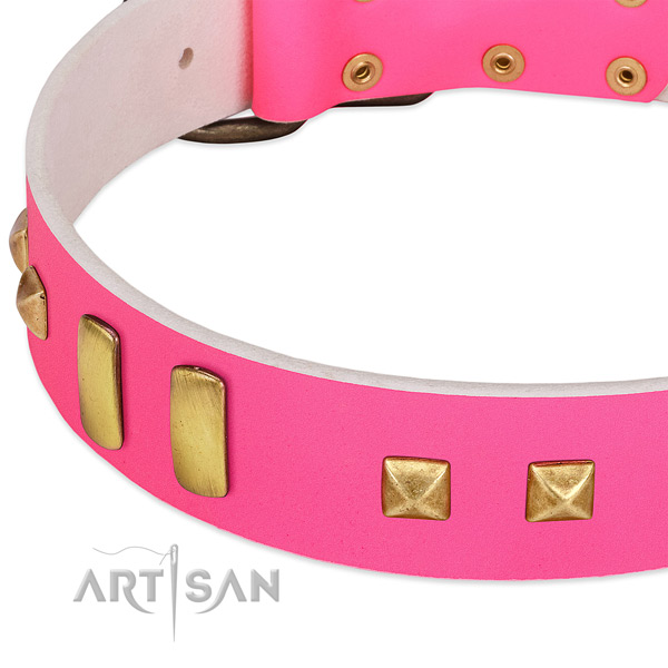 Inimitable genuine leather collar for your handsome doggie