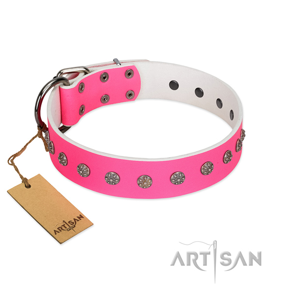 Handy use full grain natural leather dog collar with extraordinary studs