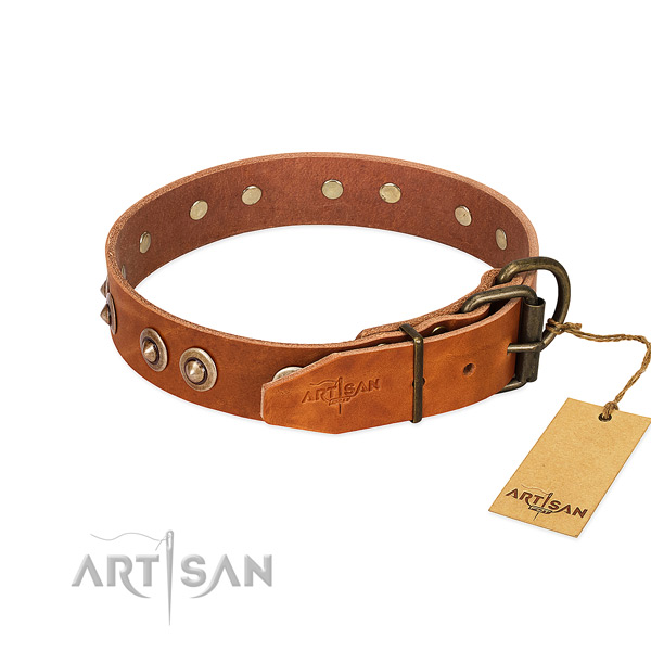 Corrosion resistant studs on genuine leather dog collar for your doggie