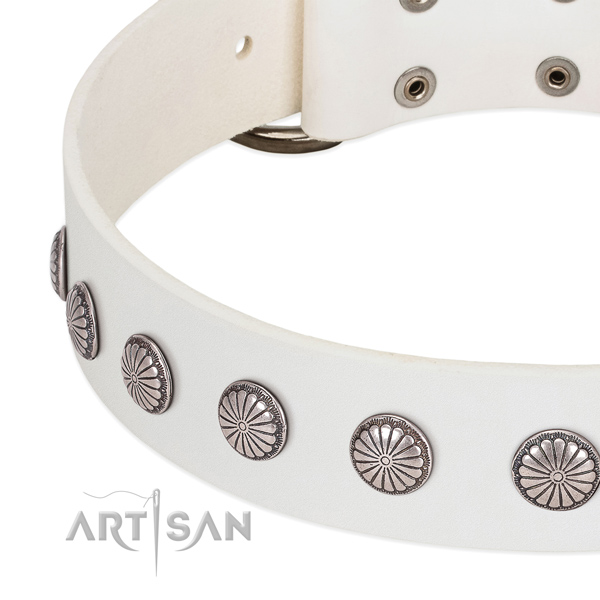 Soft to touch natural leather dog collar with decorations for everyday use