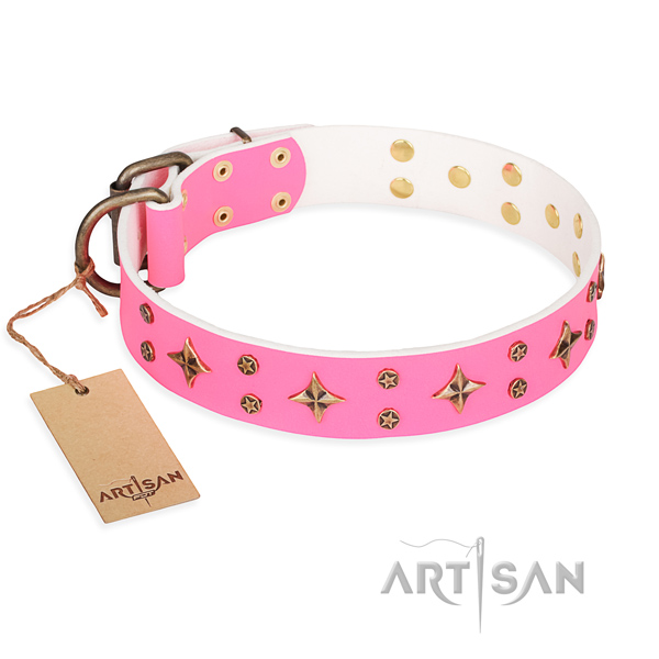 Stylish walking dog collar of durable genuine leather with embellishments