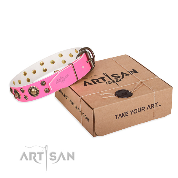 Daily use dog collar of finest quality full grain leather with studs