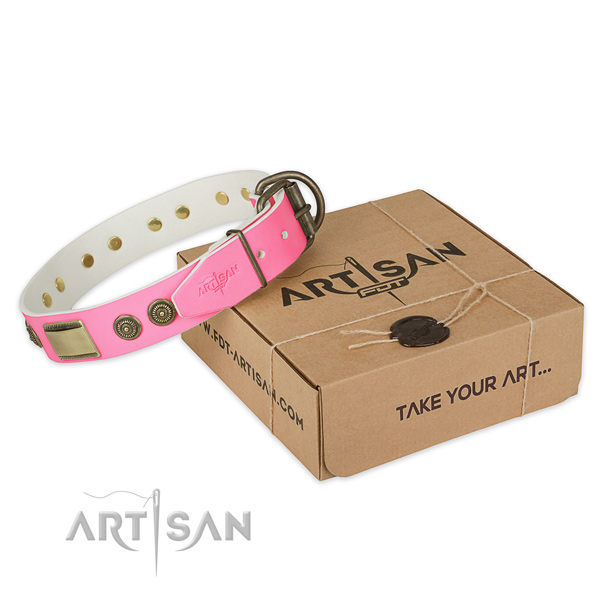Strong studs on dog collar for daily use